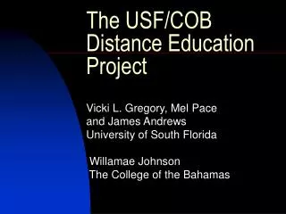 The USF/COB Distance Education Project