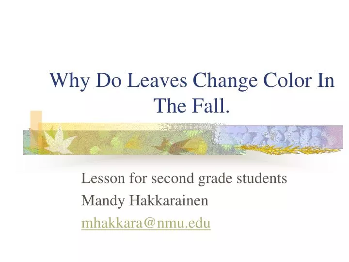 why do leaves change color in the fall