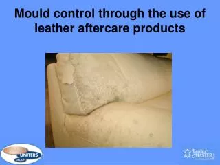 Mould control through the use of leather aftercare products