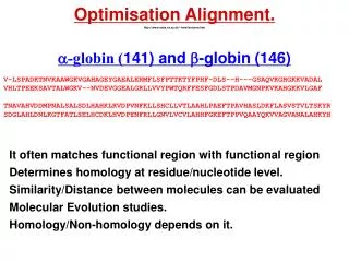 a -globin ( 141) and b -globin (146)