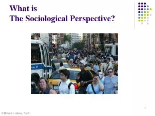 What is The Sociological Perspective?
