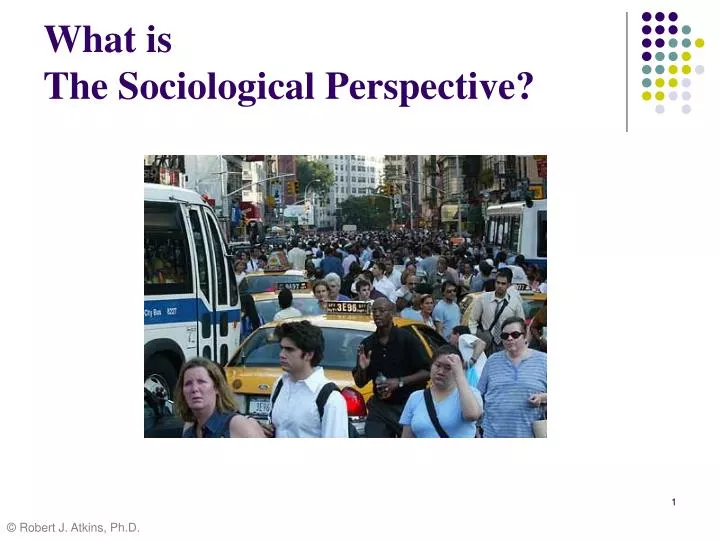 what is the sociological perspective