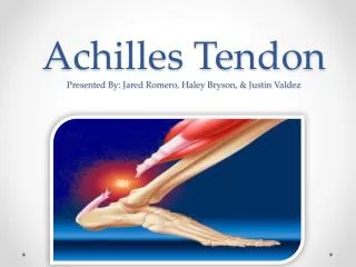 Achilles Tendon Presented By: Jared Romero, Haley Bryson, &amp; Justin Valdez