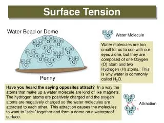 Surface Tension