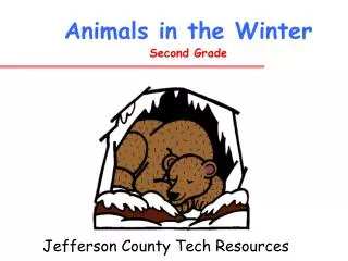 Animals in the Winter Second Grade