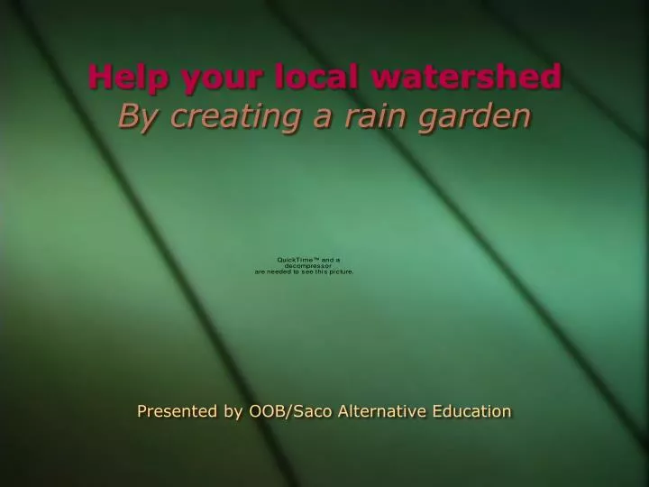 help your local watershed by creating a rain garden