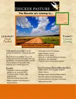 Thicker Pasture: Natural Soil Enhancer for Increased Yields - slide 1