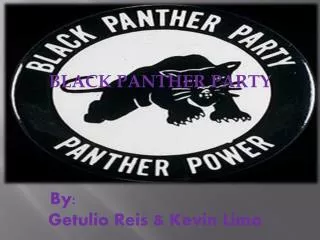 BLACK PANTHER PARTY