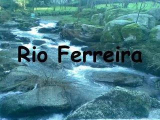 rio ferreira