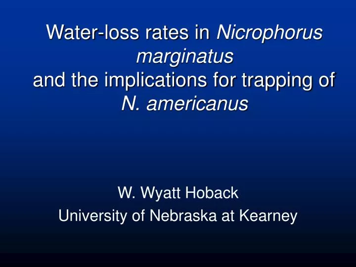 water loss rates in nicrophorus marginatus and the implications for trapping of n americanus