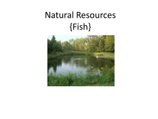 Natural Resources {Fish}