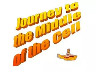 Journey to the Middle of the Cell
