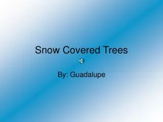 Snow Covered Trees