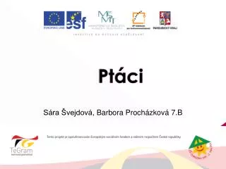 pt ci