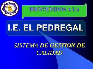 i e el pedregal