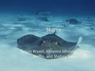 Skates