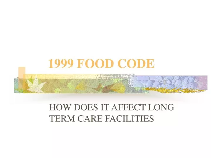 1999 food code