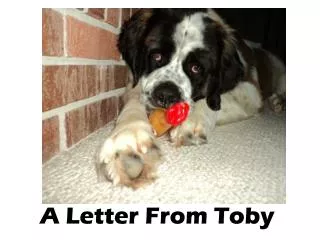 A Letter From Toby
