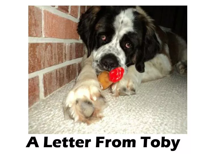 a letter from toby