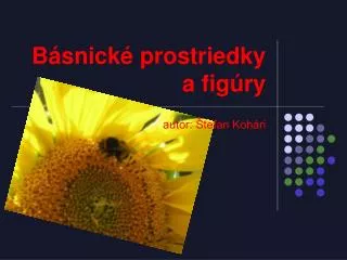 b snick prostriedky a fig ry