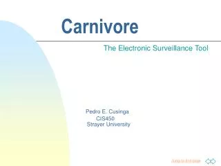 Carnivore