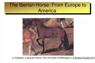 The Iberian Horse: From Europe to America