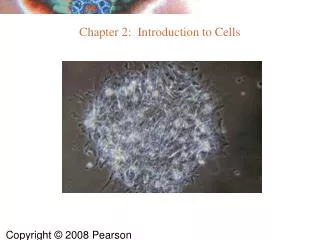 Chapter 2: Introduction to Cells