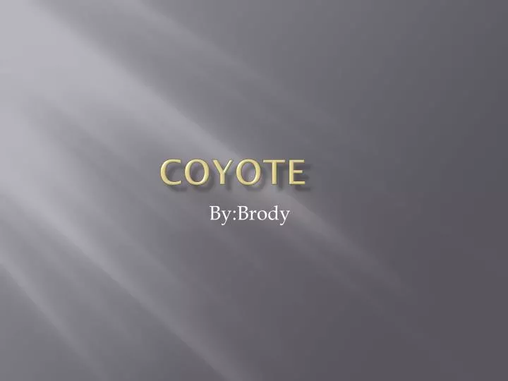 coyote