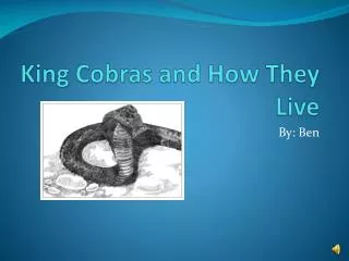 King Cobras and How They Live