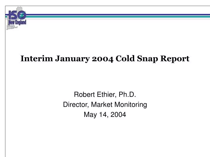 interim january 2004 cold snap report