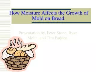 How Moisture Affects the Growth of Mold on Bread .