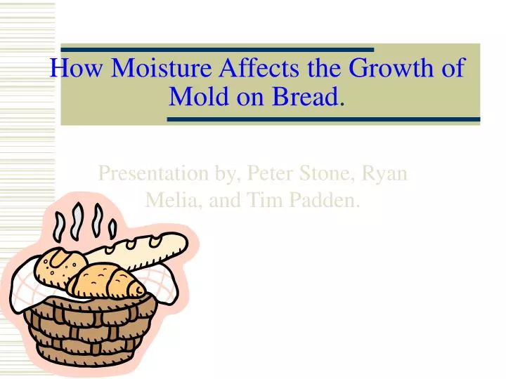 how moisture affects the growth of mold on bread