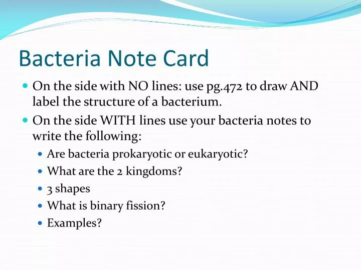 bacteria note card