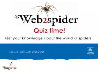Quiz time! Test your knowledge about the world of spiders