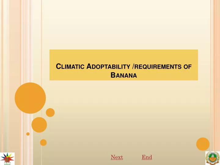climatic adoptability requirements of banana