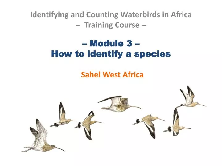 module 3 how to identify a species sahel west africa