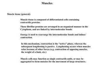 muscles