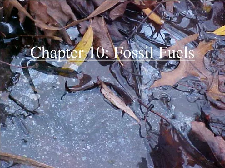 chapter 10 fossil fuels