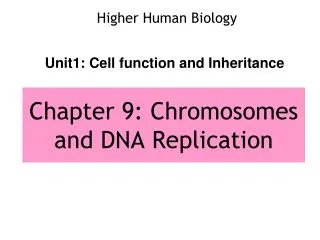 Chapter 9: Chromosomes and DNA Replication