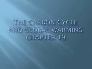 The Carbon Cycle and Global Warming Chapter 19