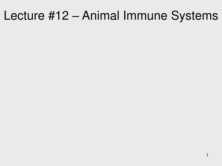 lecture 12 animal immune systems