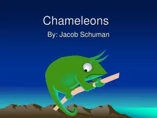 Chameleons