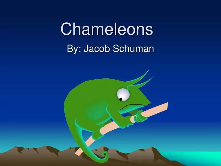 chameleons