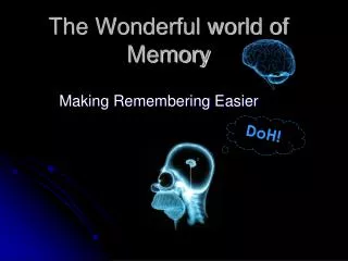 The Wonderful world of Memory