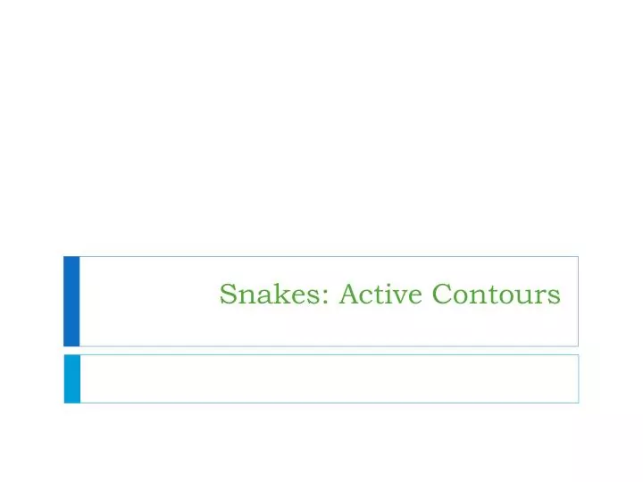 snakes active contours