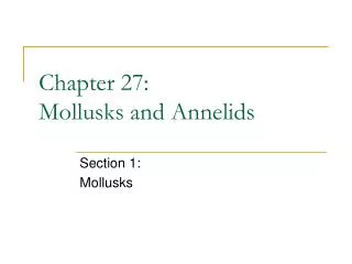 Chapter 27: Mollusks and Annelids