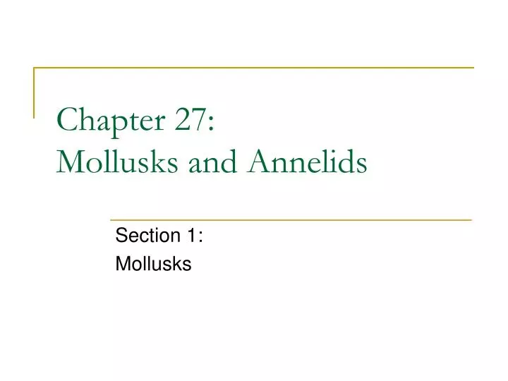 chapter 27 mollusks and annelids