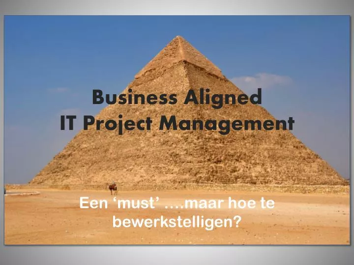 business aligned it project management