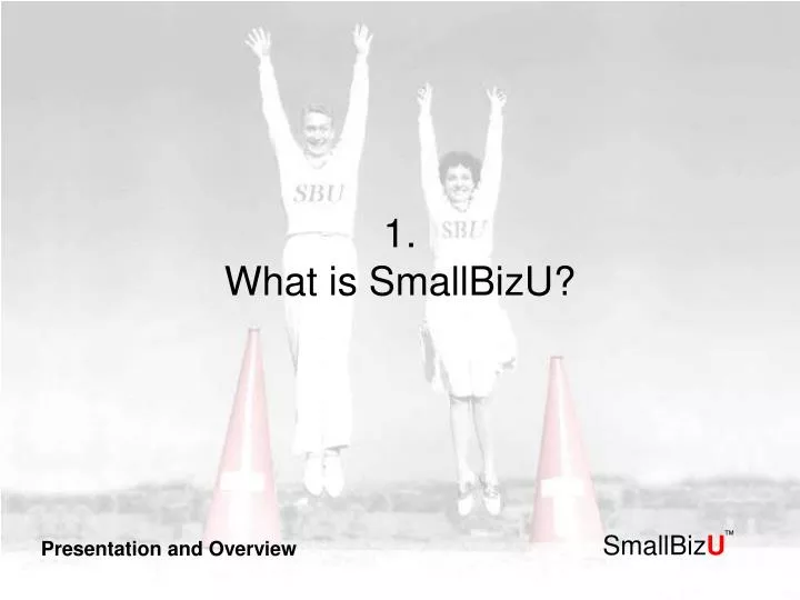 1 what is smallbizu