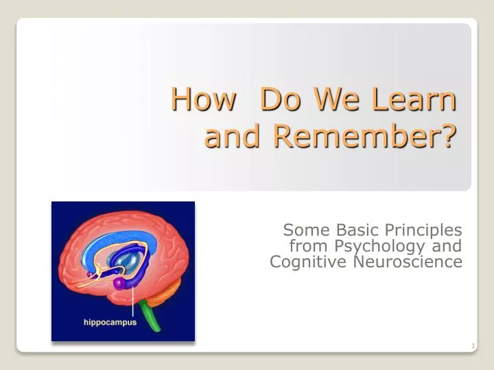 how do we learn and remember